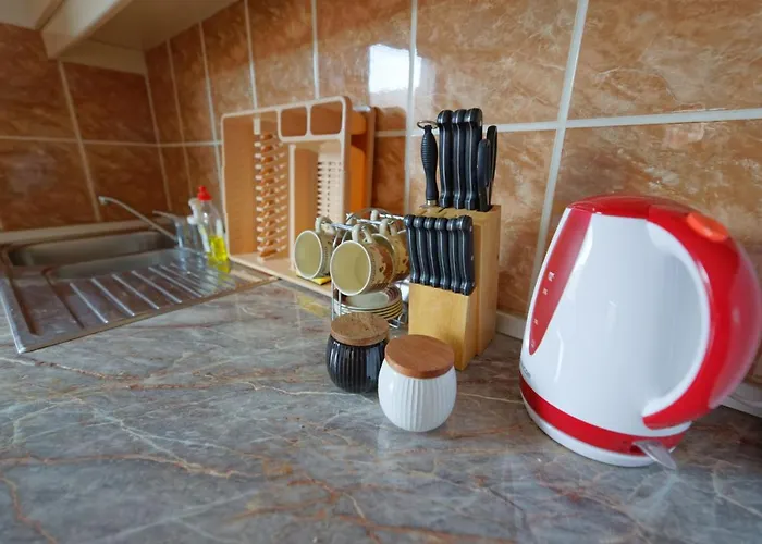 Mila Bregovi - Prostrani 즐라티보