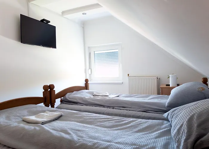 Mila Bregovi - Prostrani * 즐라티보