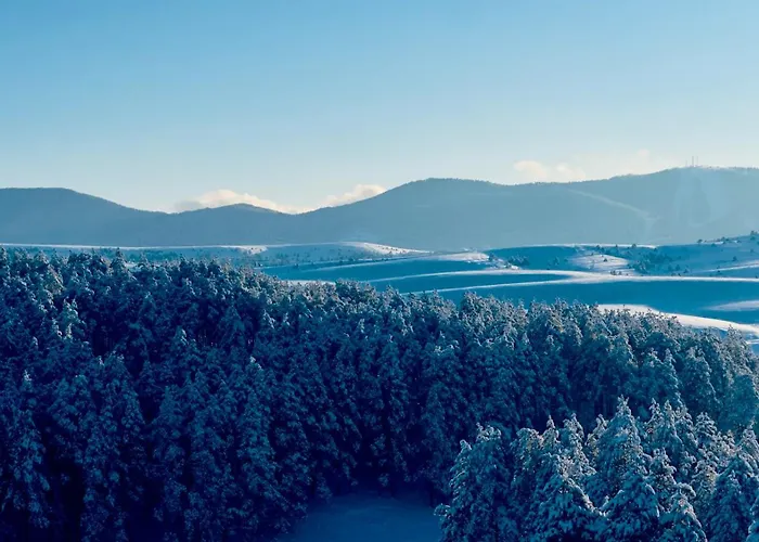 Mila Bregovi - Prostrani